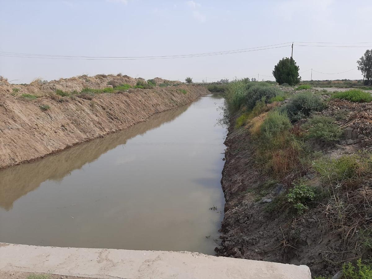 IMG 20200726 WA0071 - اور نيوز